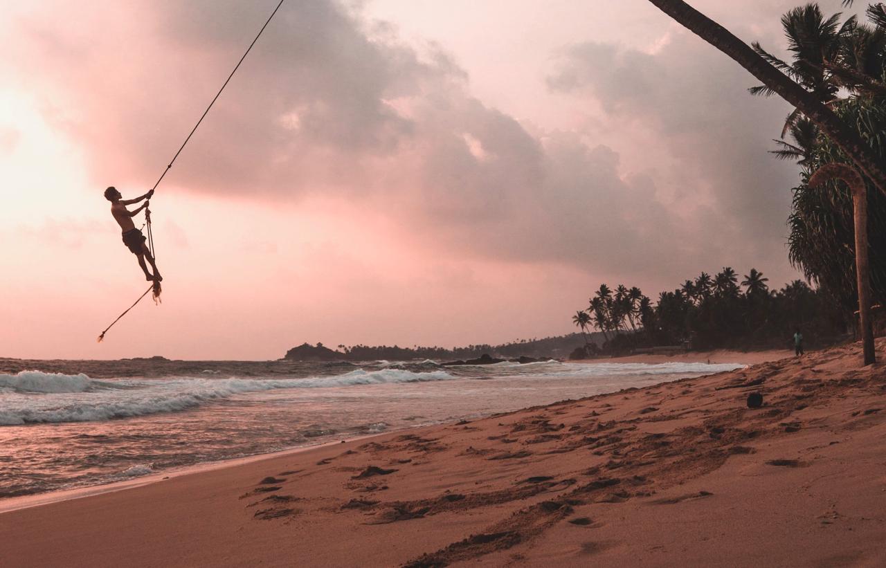 The Southern Coast Revealed