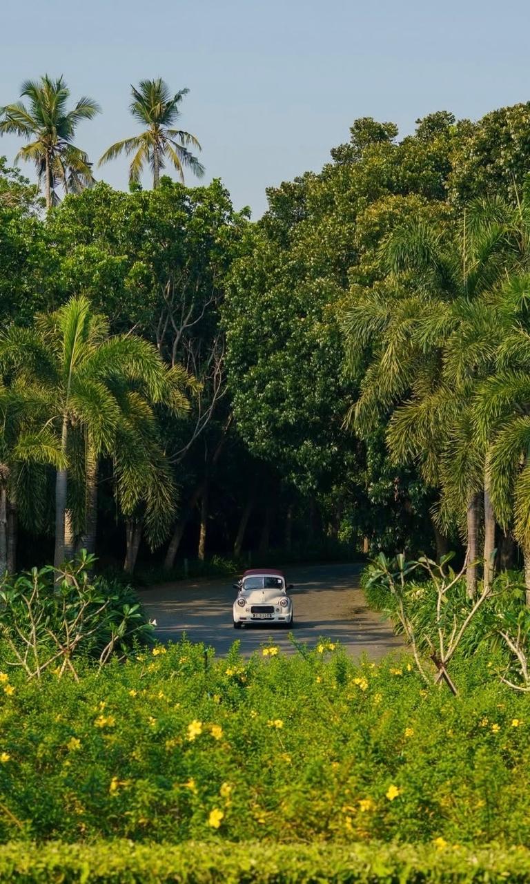 Private airport transfer